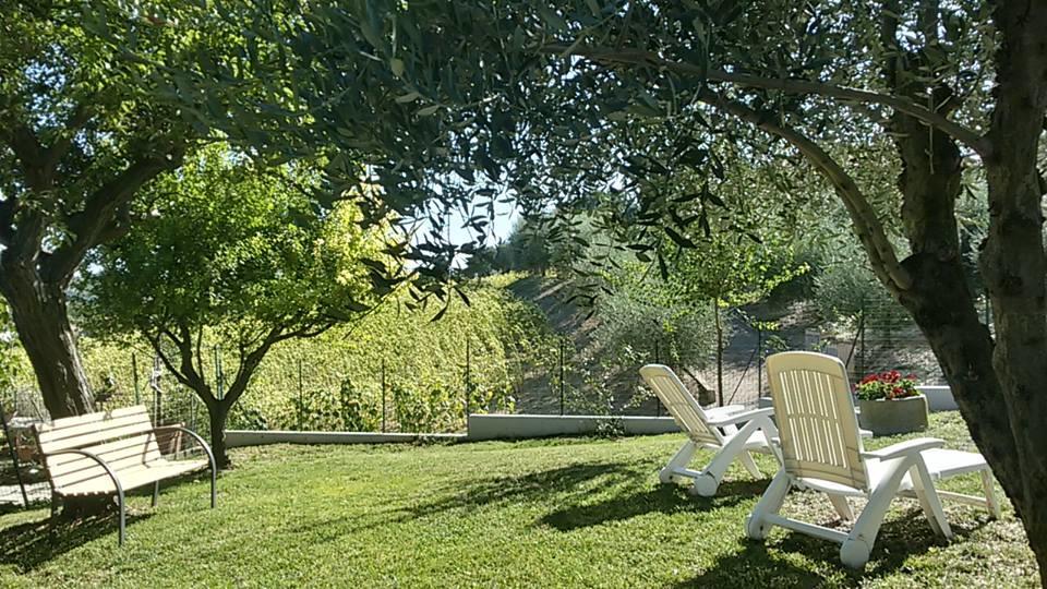 Il Borghetto Lejlighed San Lorenzo in Campo Eksteriør billede